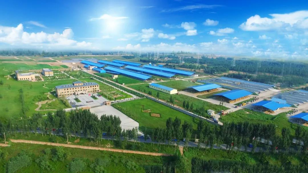 花花牛丨河南農業大學黨委副書記、校長介曉磊一行蒞臨花花牛河南瑞亞參觀調研