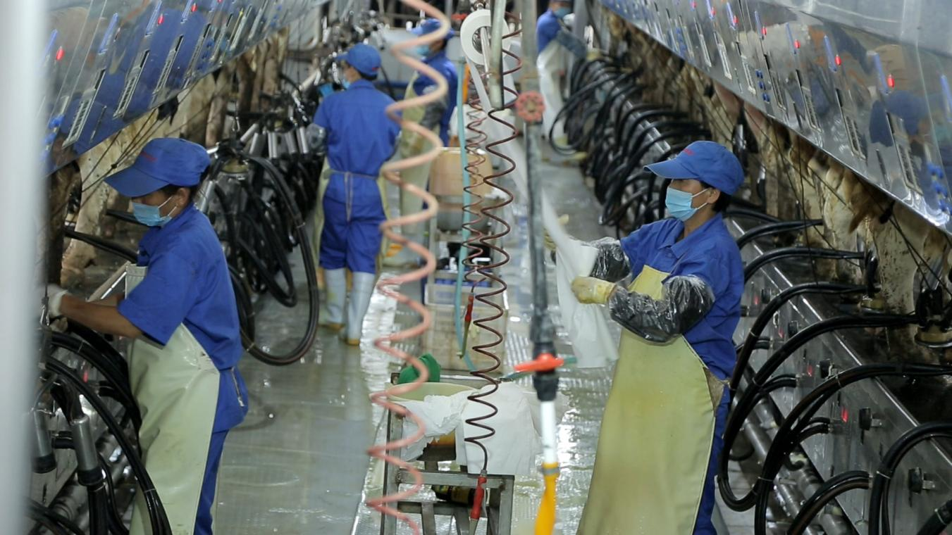 花花牛丨河南農業大學黨委副書記、校長介曉磊一行蒞臨花花牛河南瑞亞參觀調研