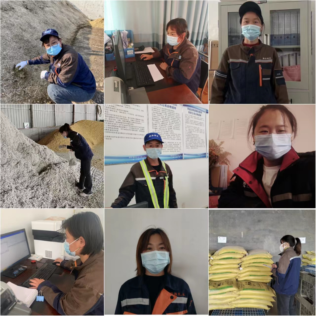 花花牛丨點點微光匯星河——養(yǎng)殖事業(yè)部抗疫保生產(chǎn)側(cè)記 花花牛丨點點微光匯星河——養(yǎng)殖事業(yè)部抗疫保生產(chǎn)側(cè)記