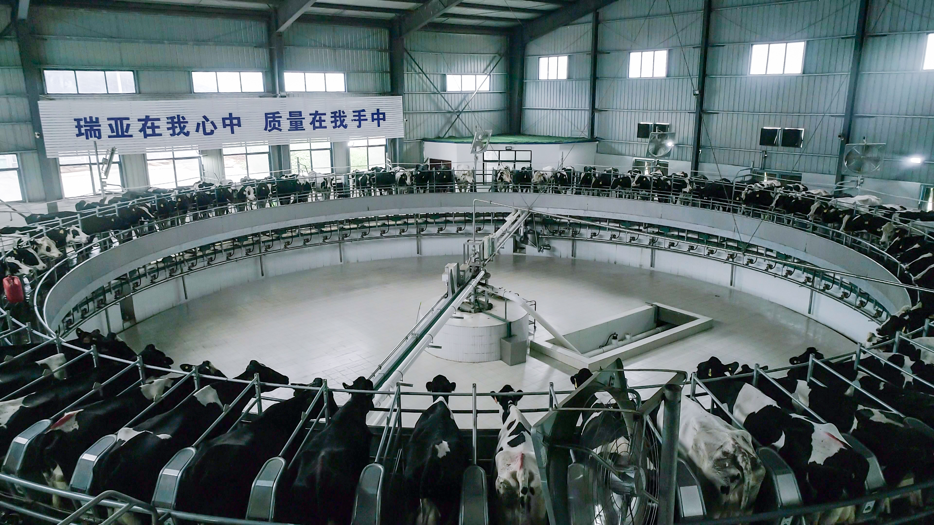 河南省人大常委會黨組書記、副主任孔昌生蒞臨花花牛魯山瑞亞牧場參觀調研 河南省人大常委會黨組書記、副主任孔昌生蒞臨花花牛魯山瑞亞牧場參觀調研