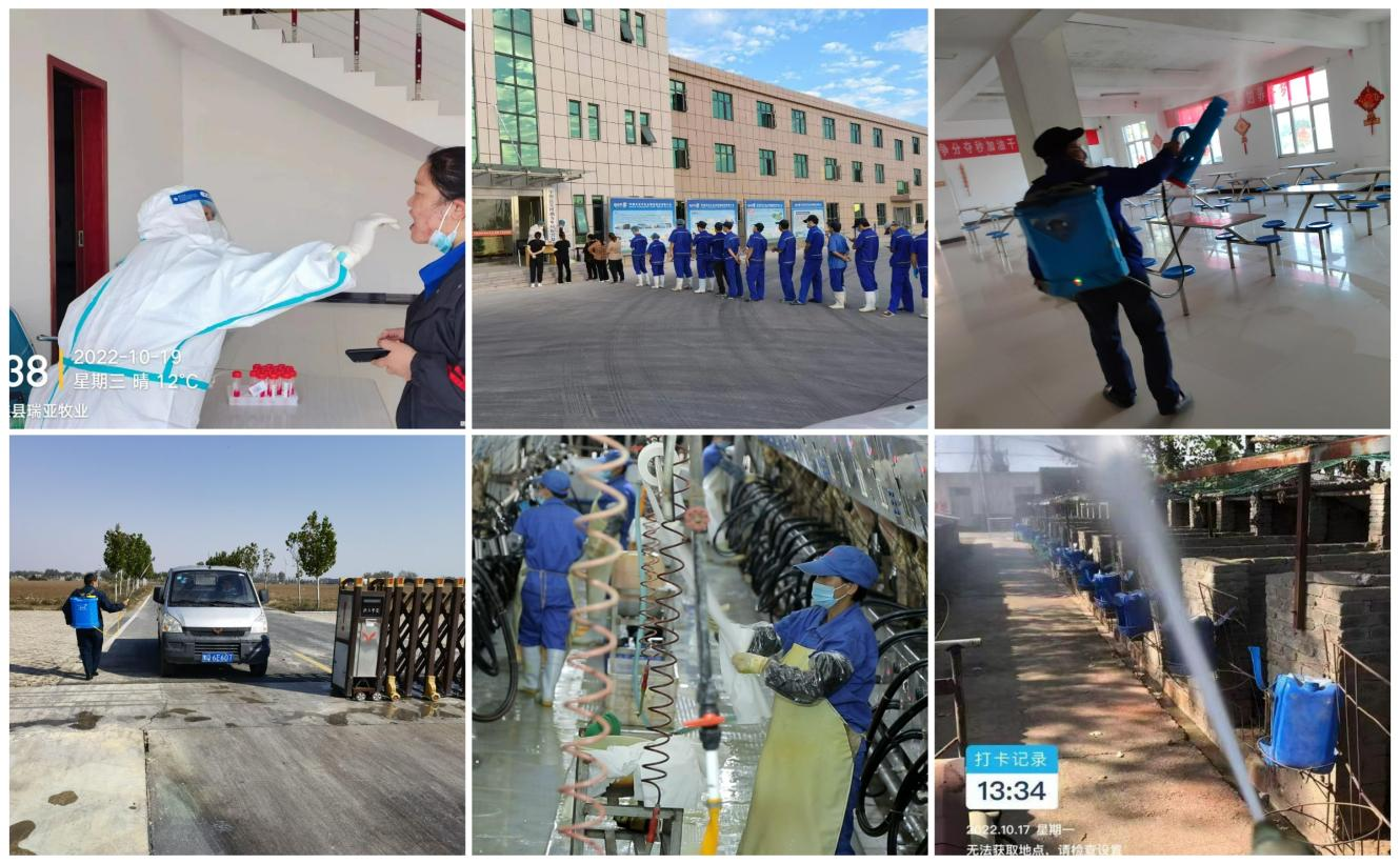 抗疫情、保供應(yīng)、顯擔(dān)當(dāng)——花花牛在行動(dòng)！！！